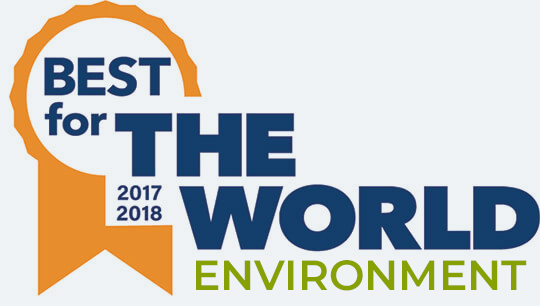 2017 - 2018 Best for the world environment